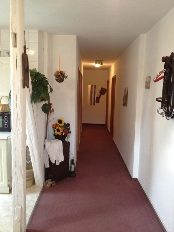 Pension & Sauna Am Lorenz Calbe エクステリア 写真
